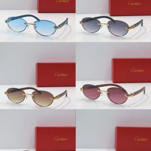 「#4113」Cartier sunglasses